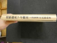 図解臨床ツボ療法　鍼灸篇　臨床シリーズ１　神経痛篇