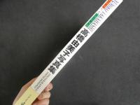 ８　高橋由美子写真集撮影・細野普司　3冊セット　ワニブックス