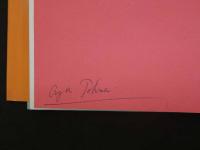 2  6　FIFTIES STYLE Them and Now Richard Horn COLUMBUSBOOKS 英文