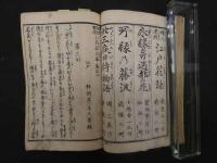 ８　いろは文庫　正史実伝　伊呂波文庫　為永春水著　英泉他画　天保7年　4編　12巻　合本　2冊　人情本　和本　古文書