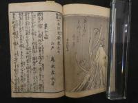 ８　いろは文庫　正史実伝　伊呂波文庫　為永春水著　英泉他画　天保7年　4編　12巻　合本　2冊　人情本　和本　古文書