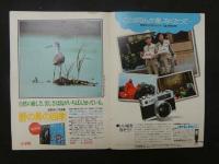 雑誌抜き取り　『隣りのお姉さん』小田切かほる初公開ヌード　半次郎が探し求めた女森崎由紀　7ページ他