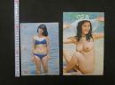 雑誌抜き取り　サマー　柏原よしえ7ページ　松本伊代4ページ伊藤さやか他<br />
片桐夕子見開き
