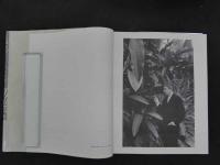 ８　3　柄澤齊　Hitoshi KARASAWA　木口木版画集　増補新版　1971－1991　署名入