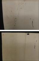 ８　7　俳諧刷物　摺物　絵師不明　梅と牛舎　木版彩色刷　約18×52cm　木版画　古文書