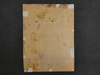 ８　7　東京名妓　日本橋小ぎん　明治24年　石版色刷　約40×29.5cm　石版画　美人画