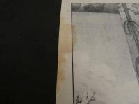 ８　7　柳原典待（愛子）　有山定次郎　明治22年　石版単色刷　約43.5×31.5cm　石版画　美人画