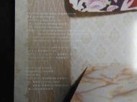８　６　SHINCHO MOOK 月刊ほしのあきスペシャル　撮影/BEN WESTWOOD　新潮社　2006年