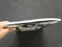 ８　3 ８　サブラDVDムック　インモラリティ　仲村みう写真集　撮影／野村誠一　2008年　小学館　未開封DVD付