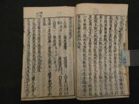 2  ６　奇效医述　明　２巻全1冊