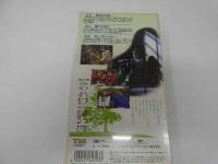 2  ６　VHSビデオ　若葉のころ　３　主演：堂本剛　堂本光一　動作確認済み