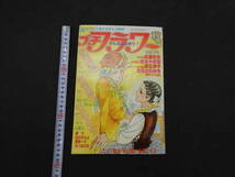 1 7　プチフラワー　秋の号　昭和55年11月発行
