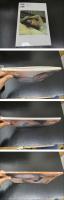 ３　角田華子写真集　華　オガタケイ／撮影　４版 