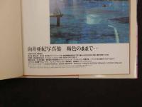 2  6 向井亜紀写真集　褐色のままで…