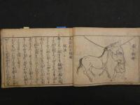 2  ８　万病馬療鍼灸撮要