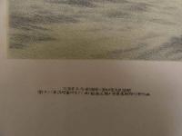 2  5　帝国水雷艇　第一号　第七号　第十五号　第二十三号　福龍　小鷹　辻本仁兵衛　砂目石版