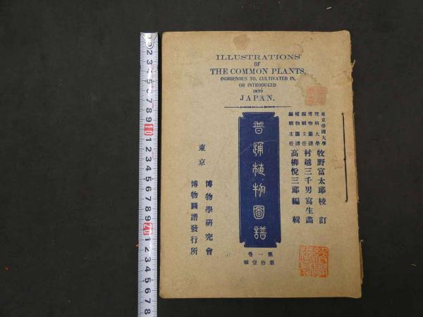 最新のデザイン 6 あんず古 / 第拾一輯 第一巻 牧野富太郎校訂 普通植物図譜 5 画集