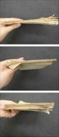 ６　5　随口薬記　１９丁　蘭馨堂質験録　６丁　江戸後期頃写