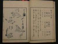 ３　４  河蝦考　源真楫(カジ)　文政9序　2巻の内上巻のみ1冊　カエル　和本　古文書