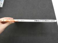 1 ８　大塚寧々写真集　ルージュの戯れ　撮影／井ノ元浩二　1995年第2版　