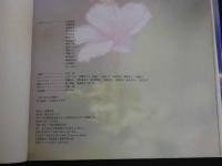 1 9 SEXY15人の寝息　全撮影：山岸伸　　