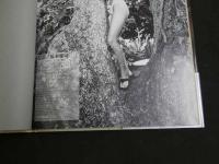 1 9 三宮位知子写真集　ICHIKO SAN'NOMIYA　撮影：橋本雅史　　