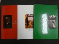 1 ３　高橋由美子写真集　TORICOLORE　撮影・細野晋司　