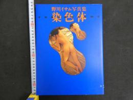 2  ８　野川イサム写真集　染色体