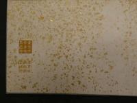2  ８　日本赤十字社写真帖（仮）　泰文社美術館製　大正期　片面14面　1帖