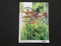 ６　9 DICK　2002年10月号　大洋図書