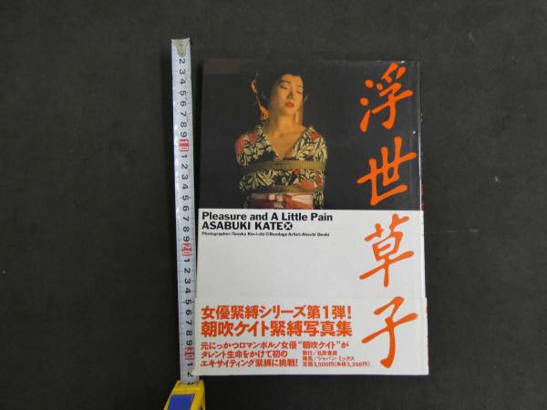 武州豊嶋群江戸庄図 書写年不明 紙本墨書 / あんず古書店 / 古本