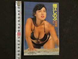８　堀江しのぶ写真集