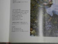 7　5　佐山彩香　１st写真集　AYA　ALEX WON/撮影　2009年第一刷発行