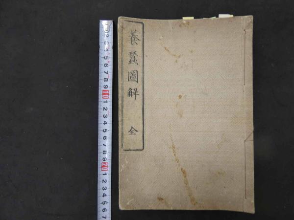 舎利講式 鎌倉時代写 紙本墨書 1巻 / あんず古書店 / 古本、中古