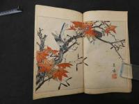 ６　６　御代の花　山田光太郎　五車楼書店　　木版彩色刷　木版画　和本　古文書