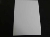 5　AI　美人写真42　A4サイズ　1枚