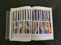 鍼灸OSAKA　３１　Vol.9　No.3/１９９３．Aut.　特集　耳鼻咽喉科疾患