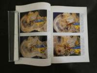 鍼灸OSAKA　４４　Vol.12　No.4／１９９６．Wint. 特集　伝統鍼灸の現状と未来