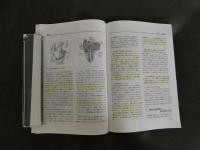 鍼灸OSAKA　４５　Vol.13　No.1/１９９７．Spr.特集　臨床シリーズ　顔面神経麻痺