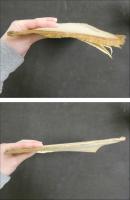 1 ７　池田先生記聞　治痘用方　江戸後期頃写　２０丁　漢方　写本　古文書