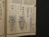 ８　5　鍼灸指掌