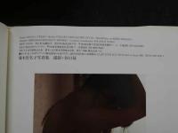 ８　藤本聖名子写真集　あぶない誘惑　ポスター付