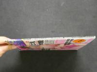 ４　HDC　本当にデカップ　2008．8月号　VOL.29　DVDなし
