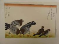 1 ３ 5　喜多川歌麿　手摺木版画　絵本百千鳥　木版彩色刷　全体約26.5×41cm　全15図　解説付