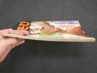 ４　指あそび　実話極秘レポート増刊