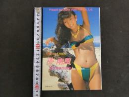 ８　青木琴美写真集　ALL THAT KOTOMI 夢・南風