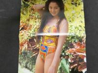 ８　REAL TIME WANI BOOKS Best Selection　BEST SHOT!!　Vol.2　ピンナップ付