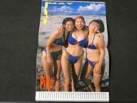 ８　すっぴん　1995年5月号