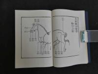 馬療鍼灸撮要