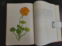 萬花譜　第二巻